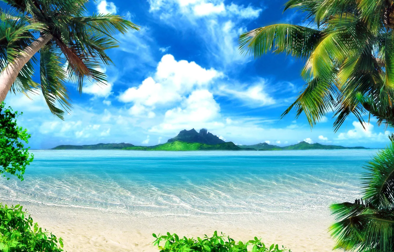 Фото обои пляж, природа, тропики, пальмы