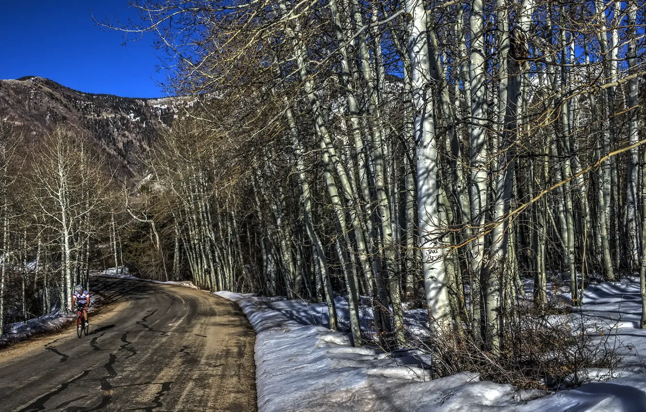 Фото обои велосипед, спорт, весна