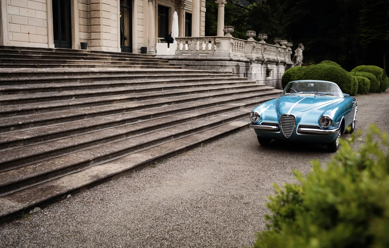 Фото обои Spider, 1955, Alfa Romeo 1900 C, Super Sprint La Fleche