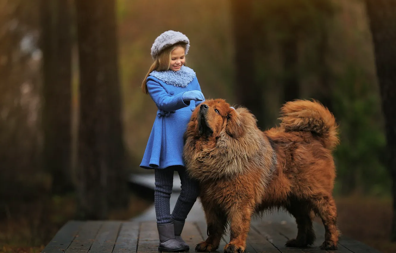 Фото обои собака, девочка, Анастасия Бармина