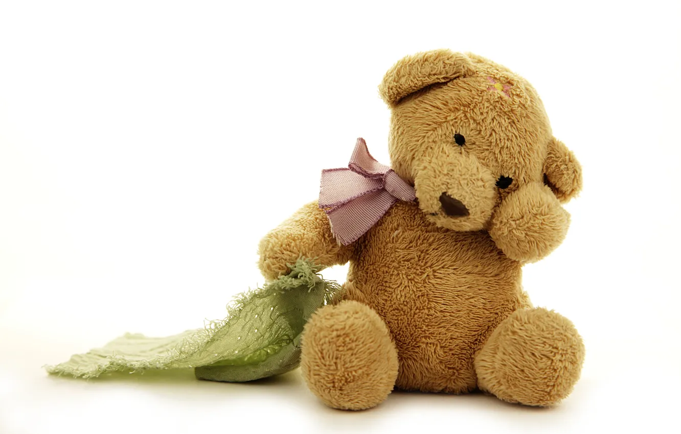 Фото обои игрушка, медведь, мишка, toy, bear, cute, Teddy