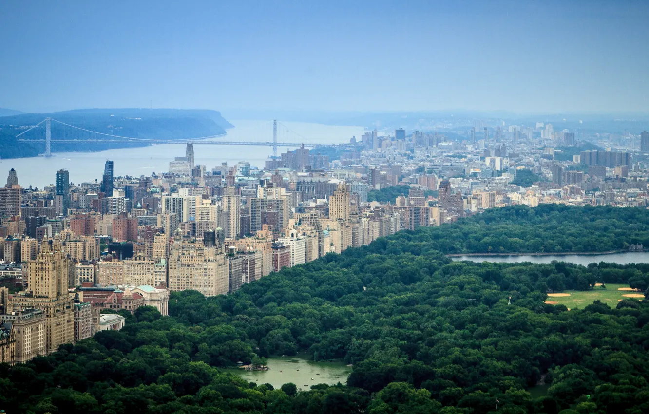 Фото обои city, USA, United States, river, skyline, trees, bridge, New York