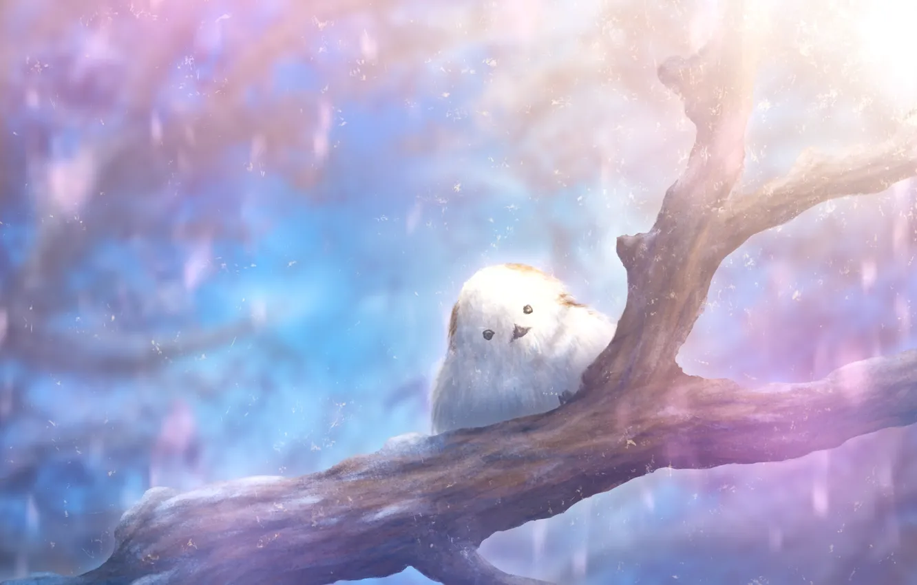 Фото обои снег, дерево, птица