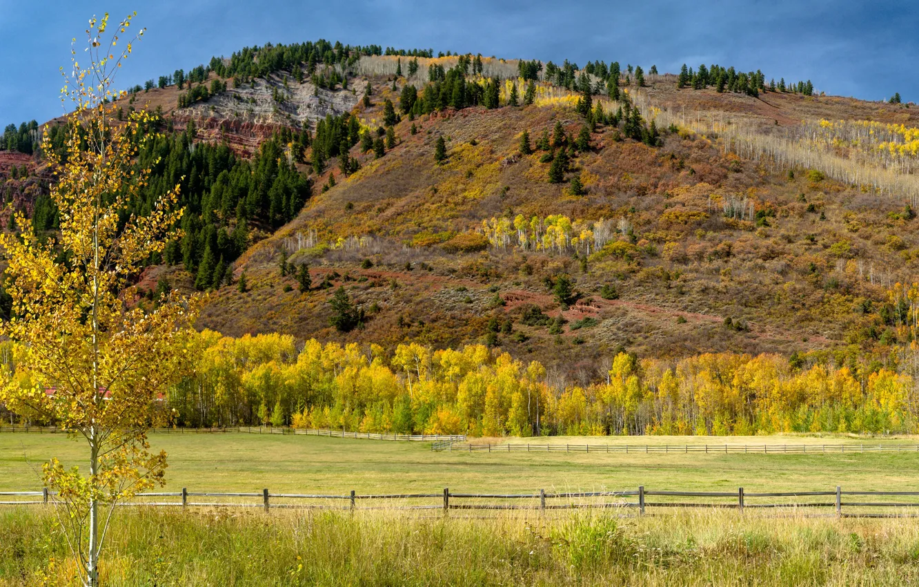 Фото обои поле, осень, деревья, гора, панорама, США, солнечно, заборы