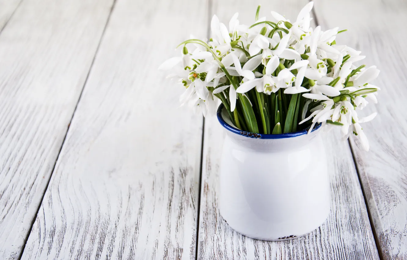 Фото обои цветы, букет, подснежники, white, белые, flowers, spring, snowdrops