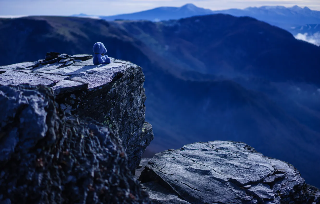 Фото обои горы, скалы, игрушка, мишка, панорама