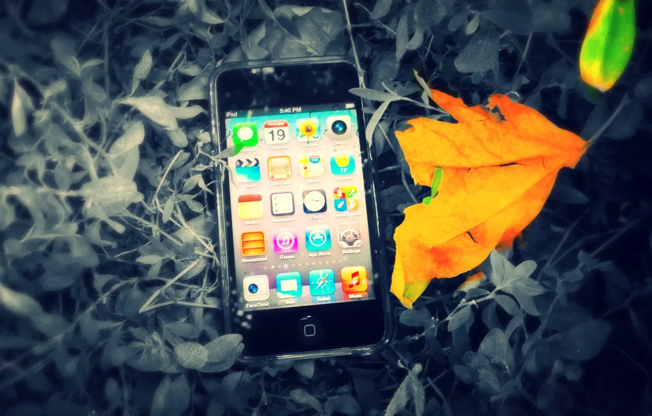 Фото обои ipod, leaves, The, Between, touch