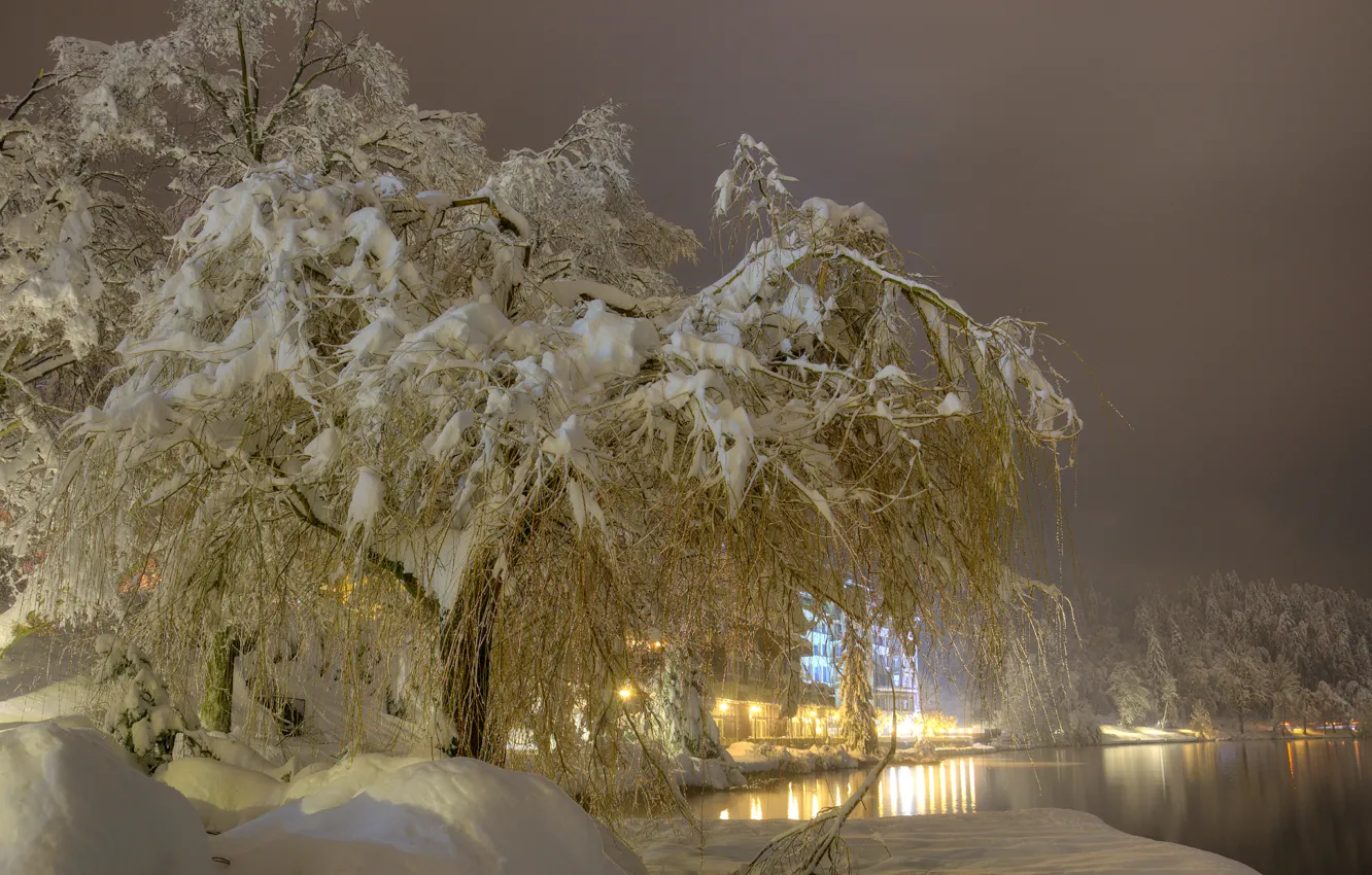 Фото обои зима, снег, деревья, ночь, огни, туман, озеро, фонари