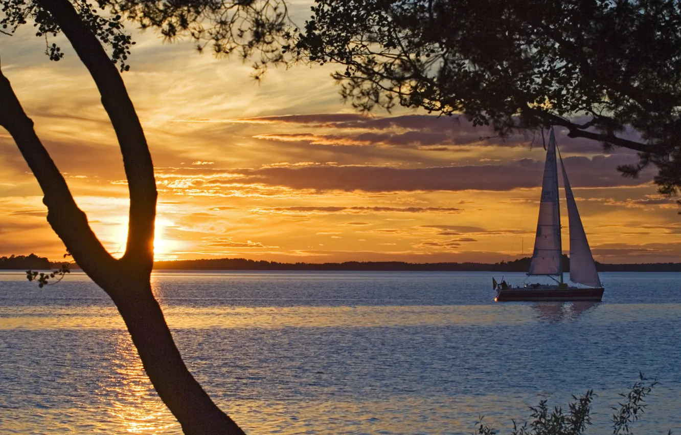 Фото обои beautiful, sailboat, sail at sunset