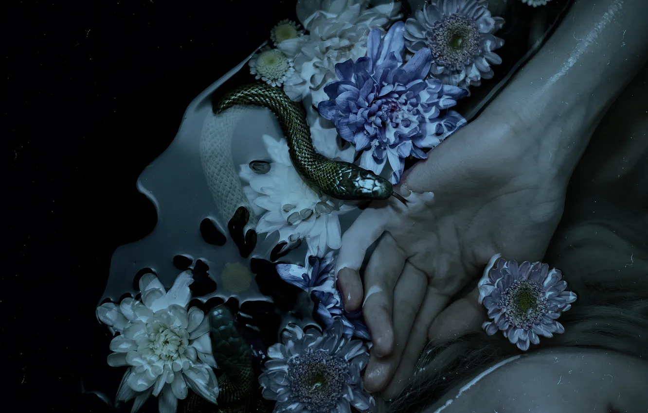 Фото обои вода, девушка, цветы, темный фон, страх, рука, змея, ужас