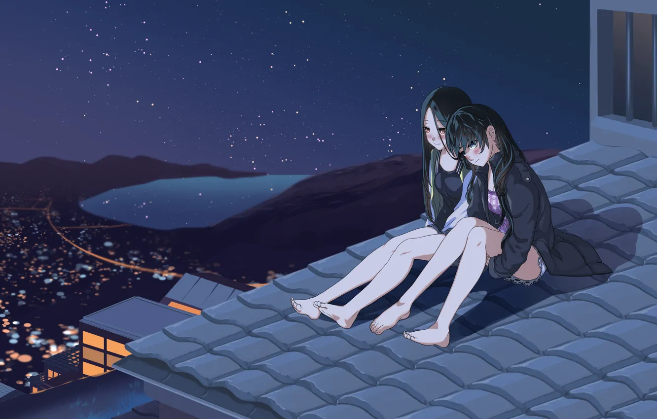 Фото обои крыша, девушка, ночь
