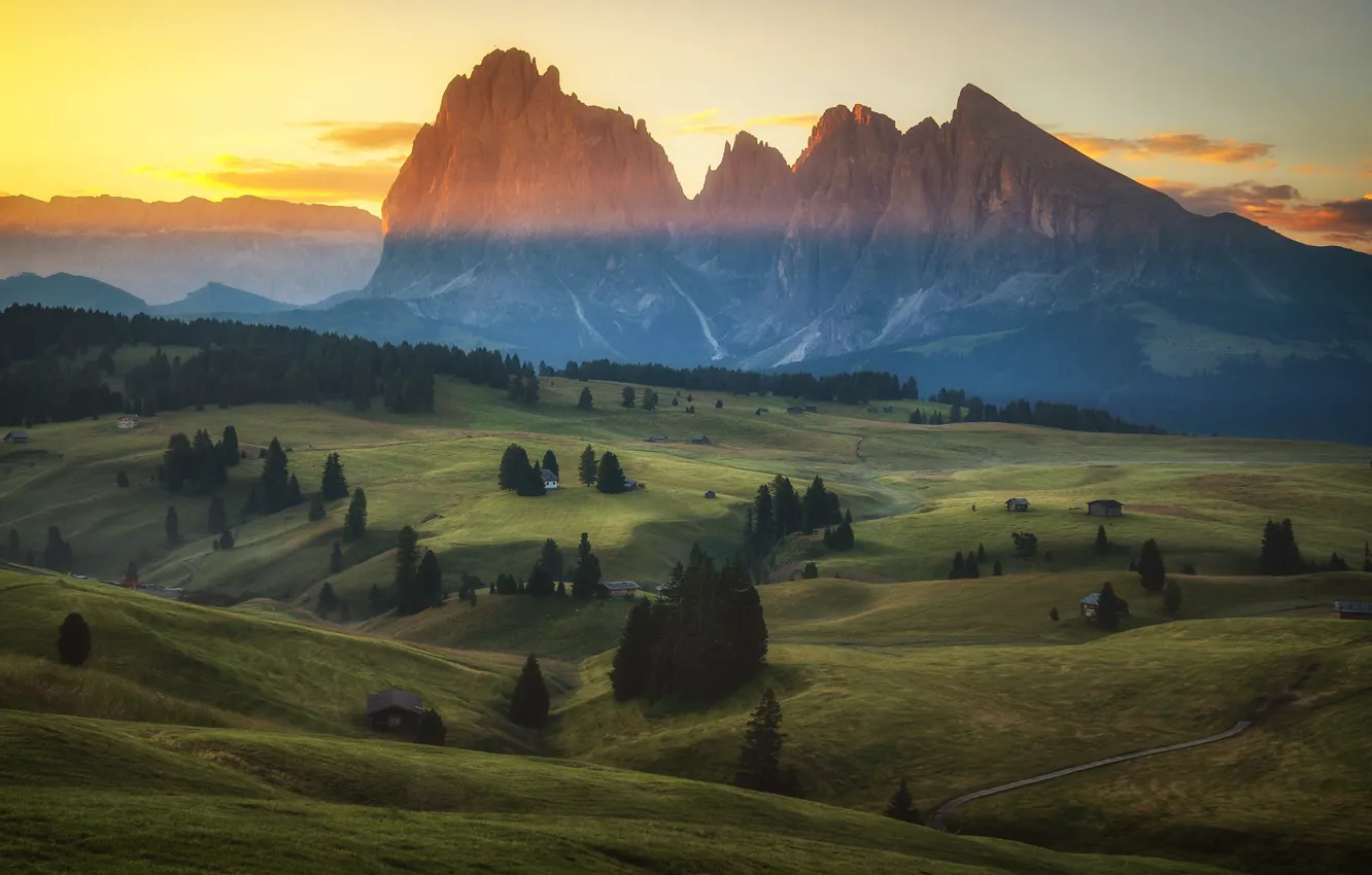 Фото обои поле, лес, горы, Альпы, луг, домик