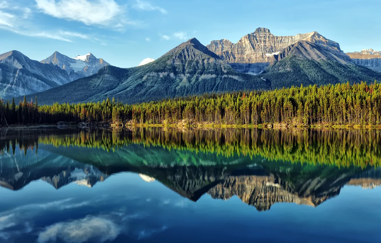 Фото обои лес, небо, облака, горы, озеро, отражение