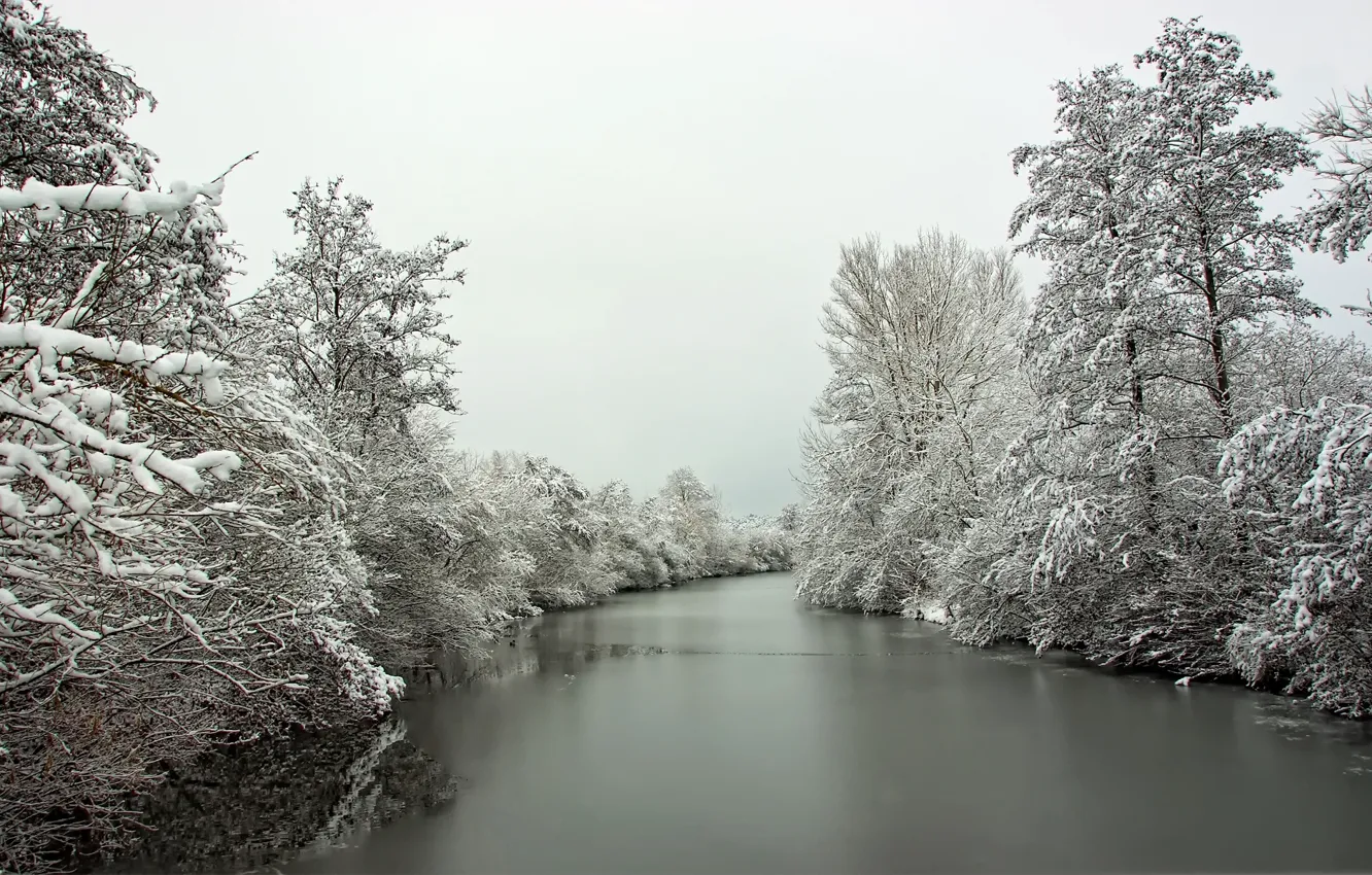 Фото обои зима, иней, снег, Река, деревья лес