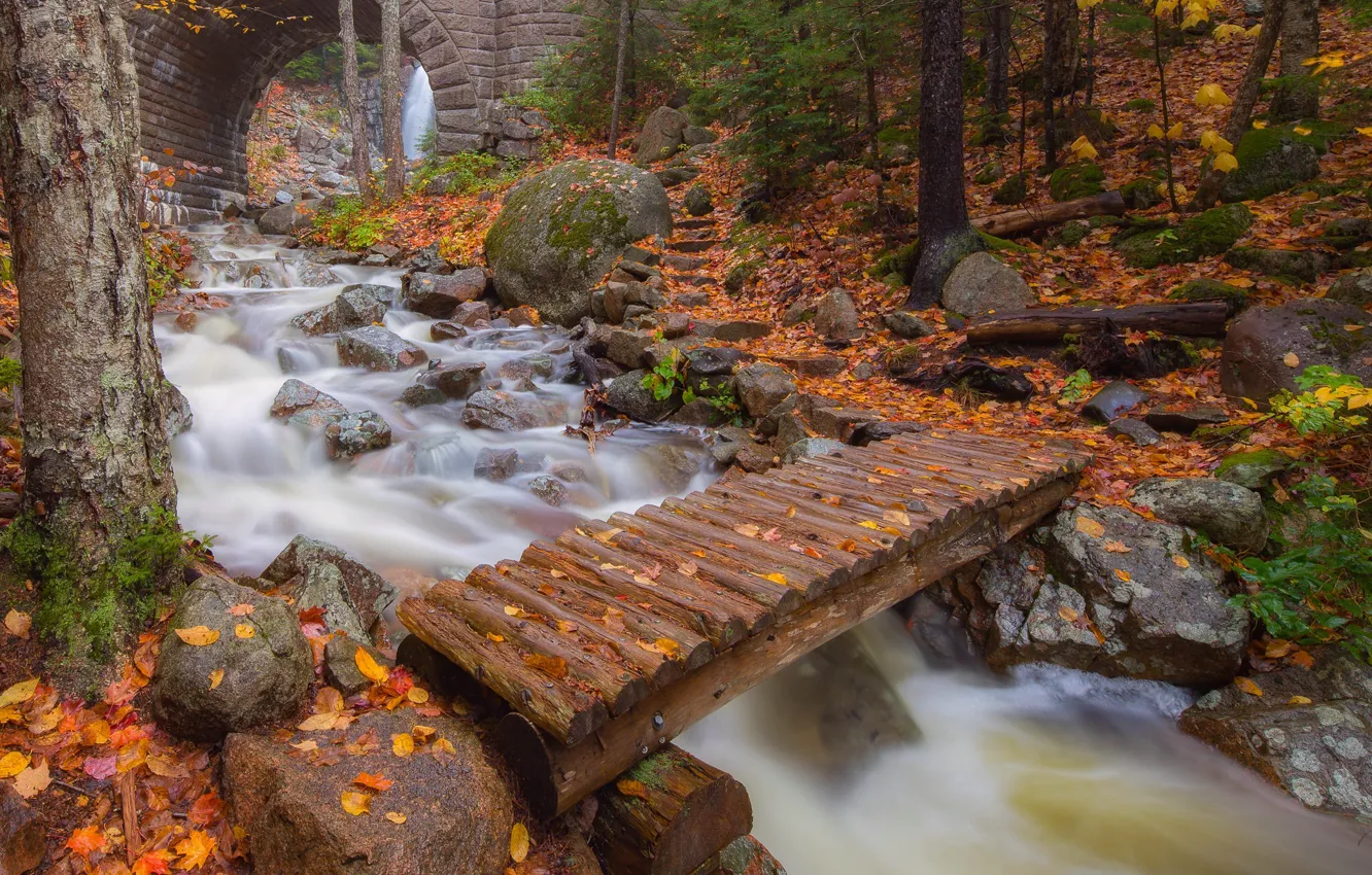 Фото обои осень, листья, деревья, мост, река, арка, Maine, Мэн
