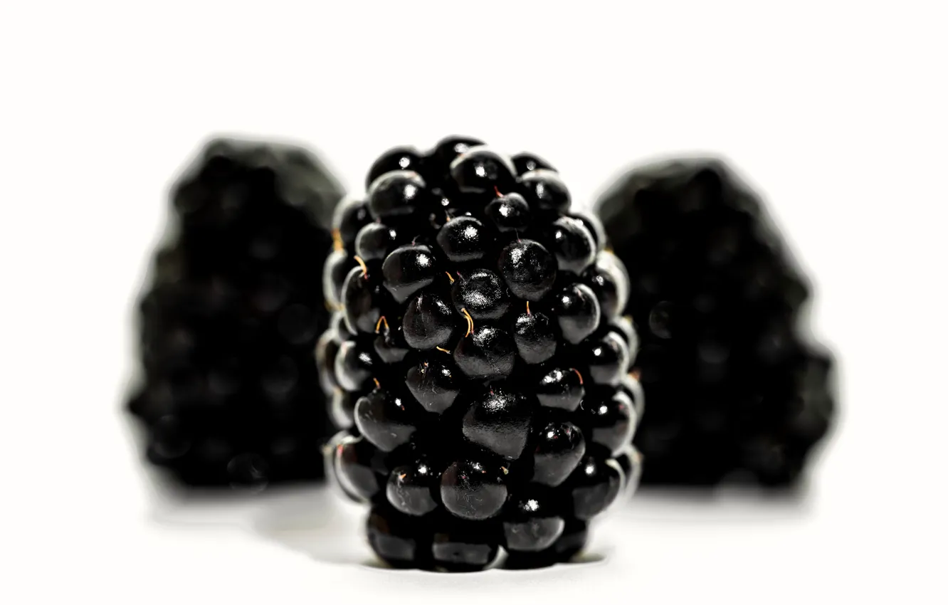 Фото обои fruit, blackberries, freshness, healthy food, healthy eating
