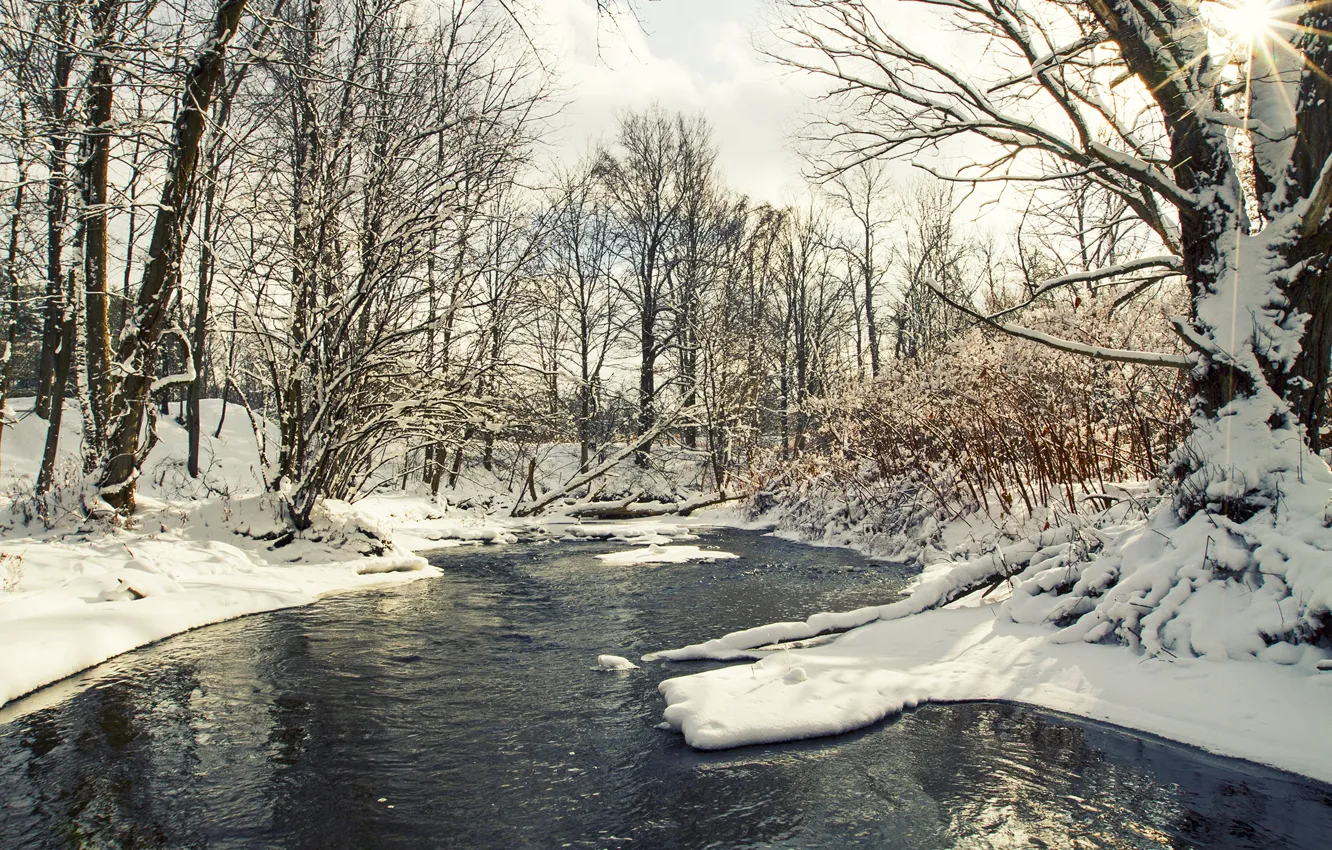 Фото обои зима, снег, деревья, речка