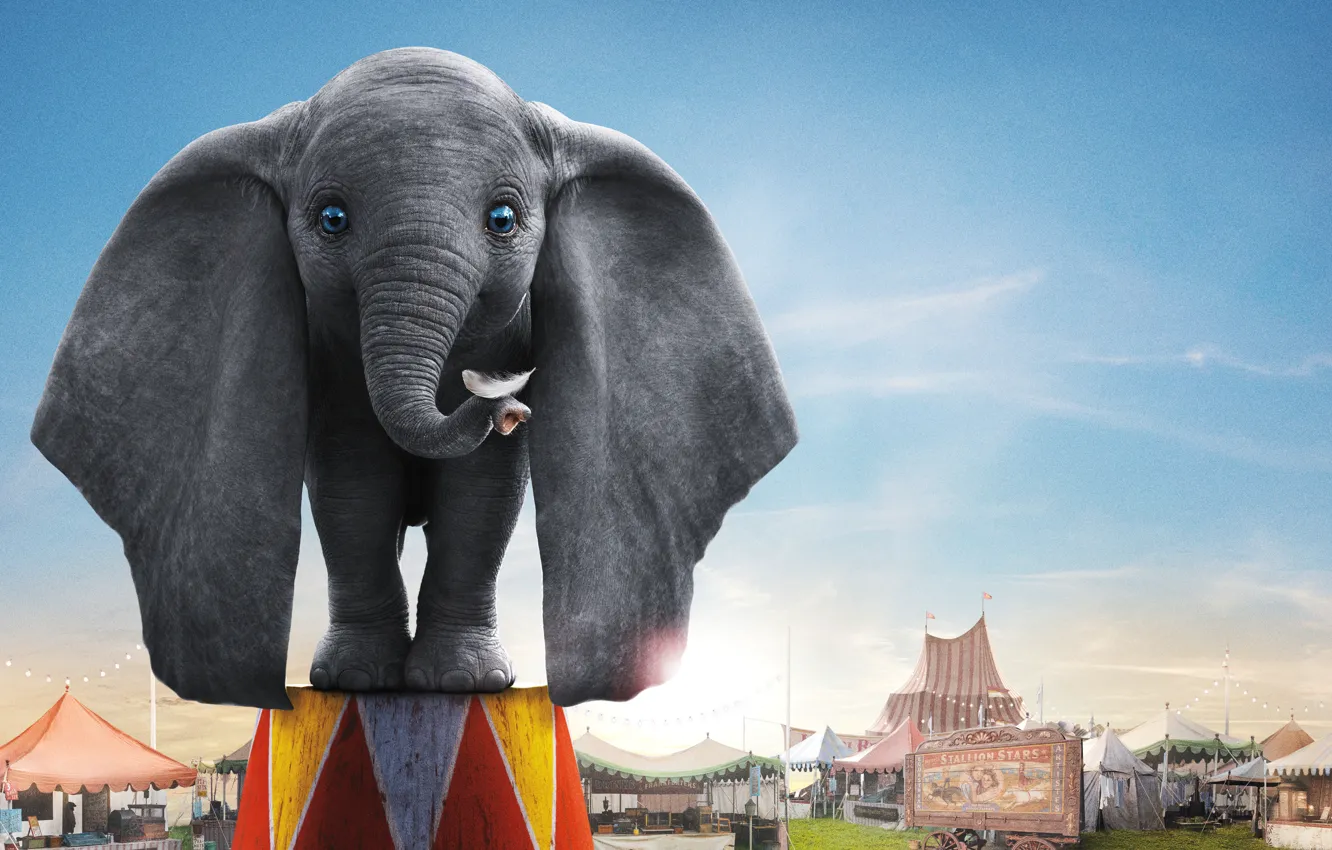Фото обои глаза, слон, цирк, уши, хобот, слоник, Dumbo, Дамбо