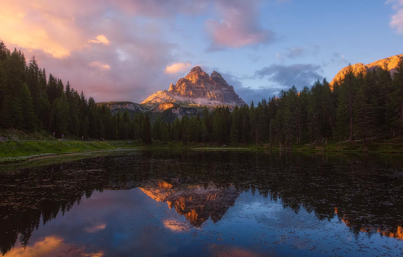 Фото обои лес, горы, озеро, берег