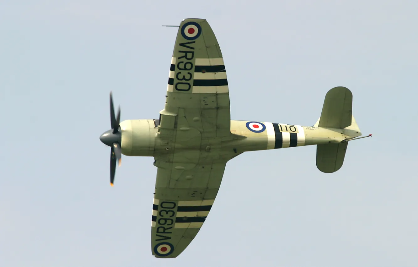 Фото обои airplane, aviation, Hawker Sea Fury