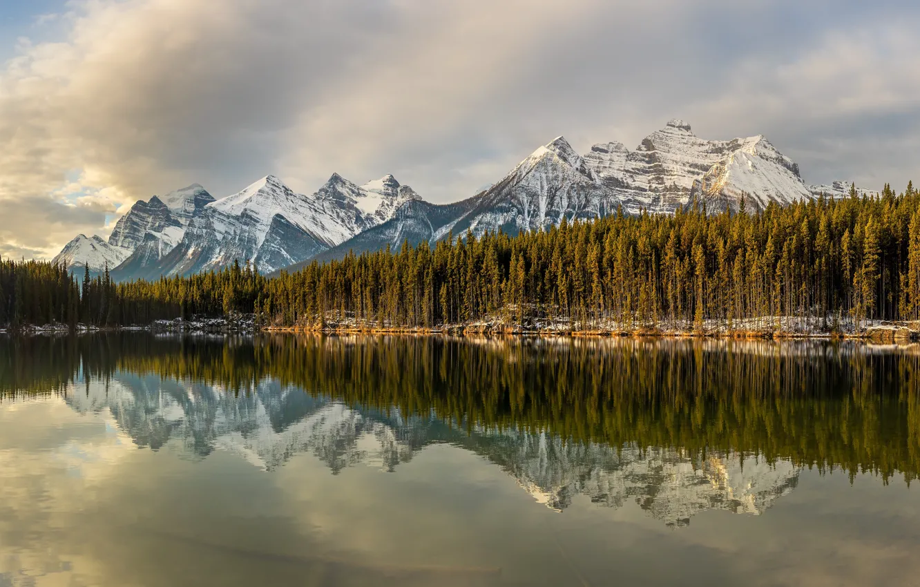 Фото обои лес, горы, озеро, отражение, вершины, Канада, водоем, Банф