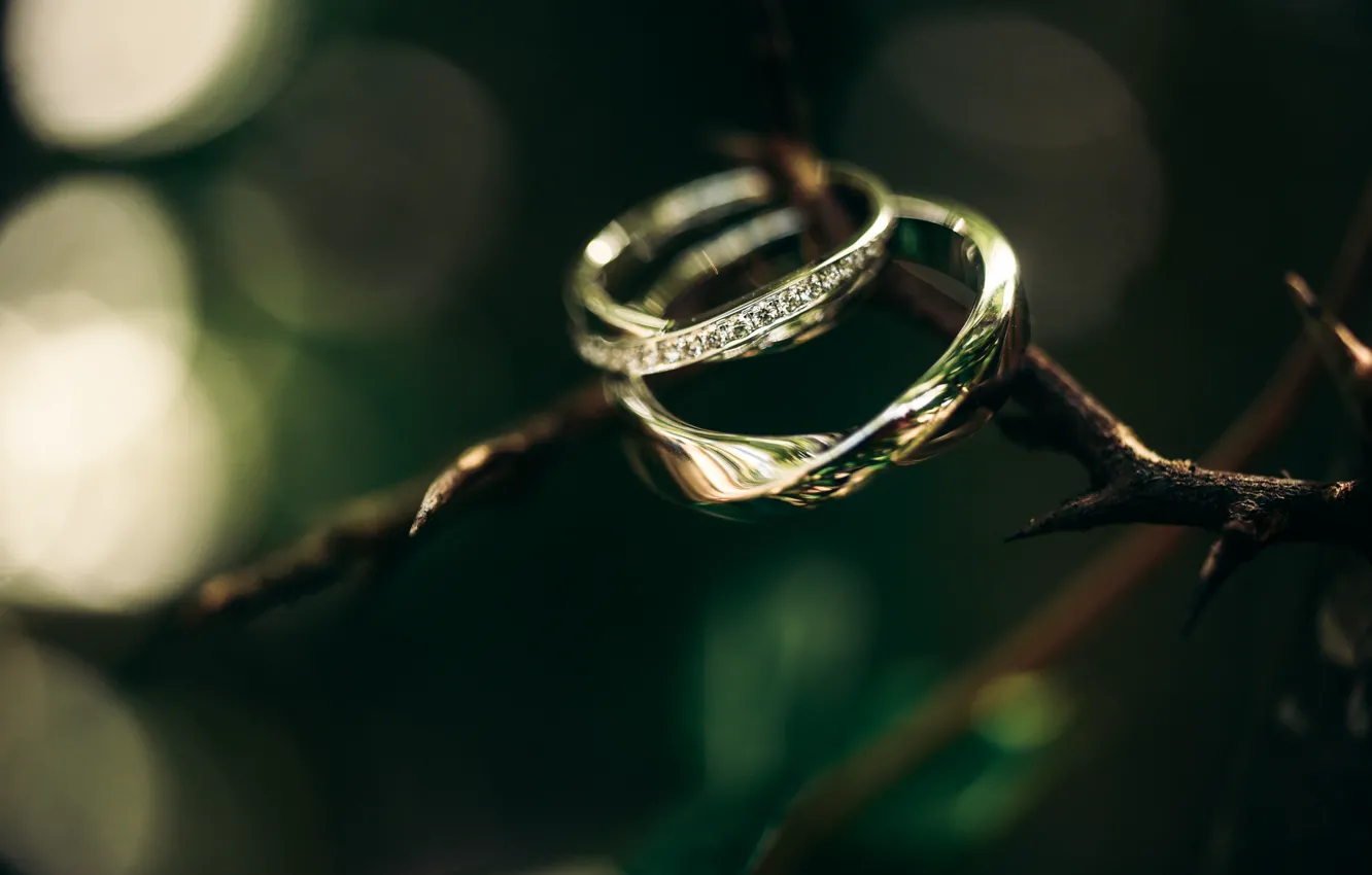Фото обои камни, кольца, помолвка