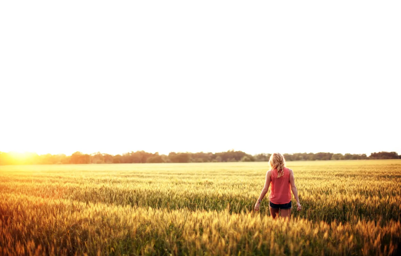 Фото обои поле, лето, девушка, солнце, настроение