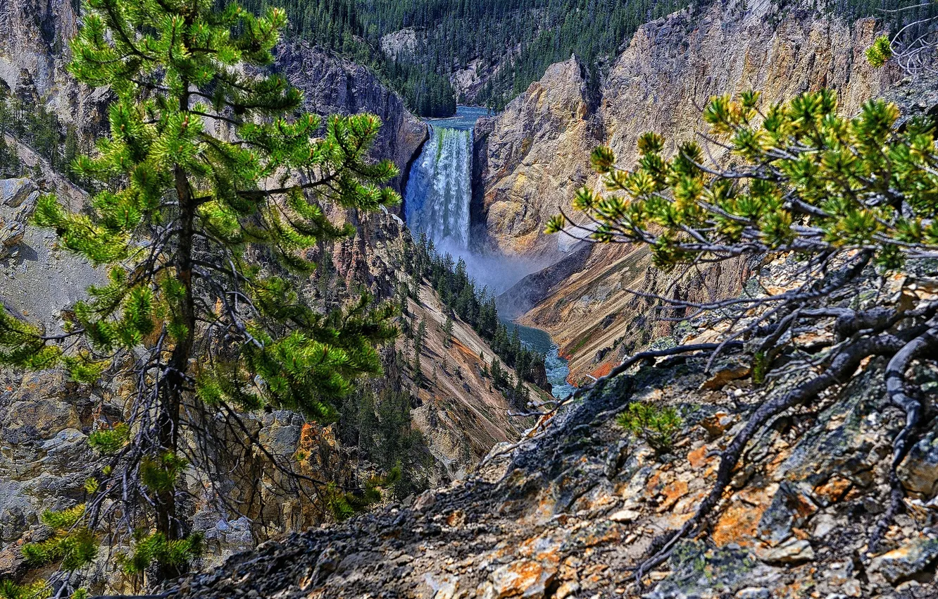 Фото обои деревья, река, скалы, водопад, Wyoming, сша, Yellowstone