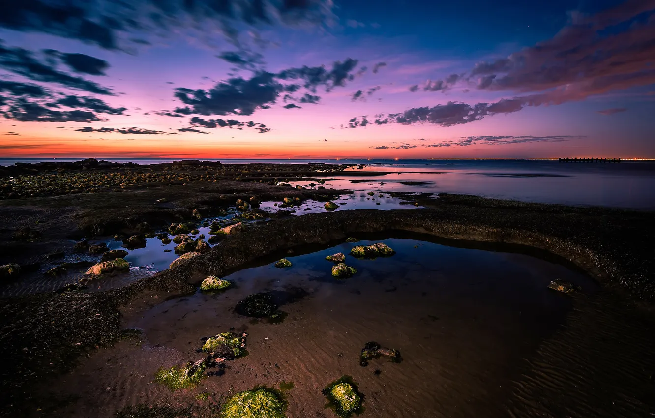 Фото обои водоросли, камни, залив, закат. сумерки