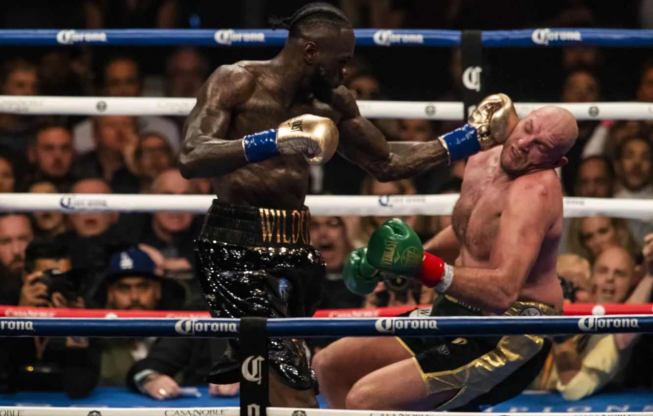 Фото обои бокс, нокаут, Deontay Wilder, Tyson Fury