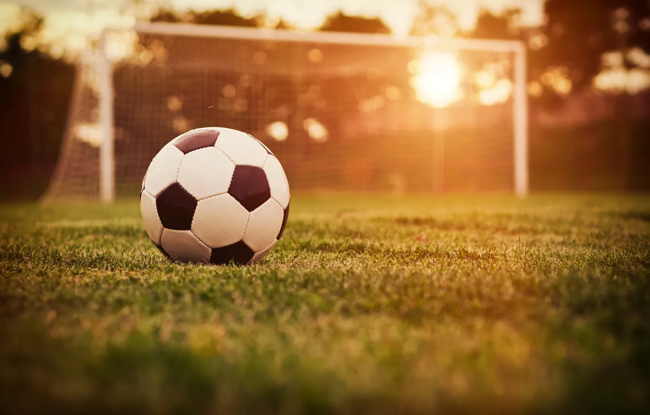 Фото обои поле, трава, солнце, газон, футбол, мяч, ворота, боке