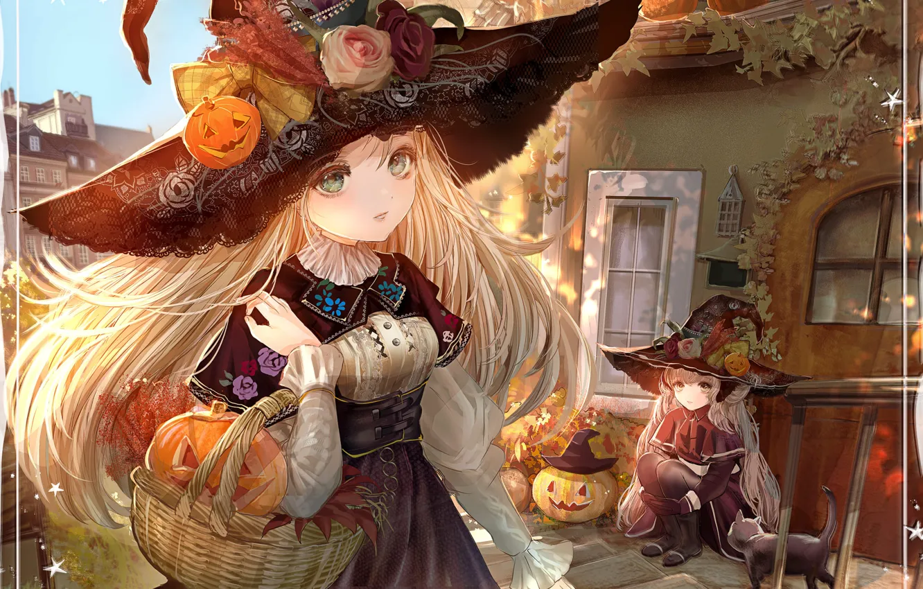 Фото обои тыквы, корзинка, halloween, солнечный день, светильник Джека, на корточках, пышные волосы, шляпа ведьмы