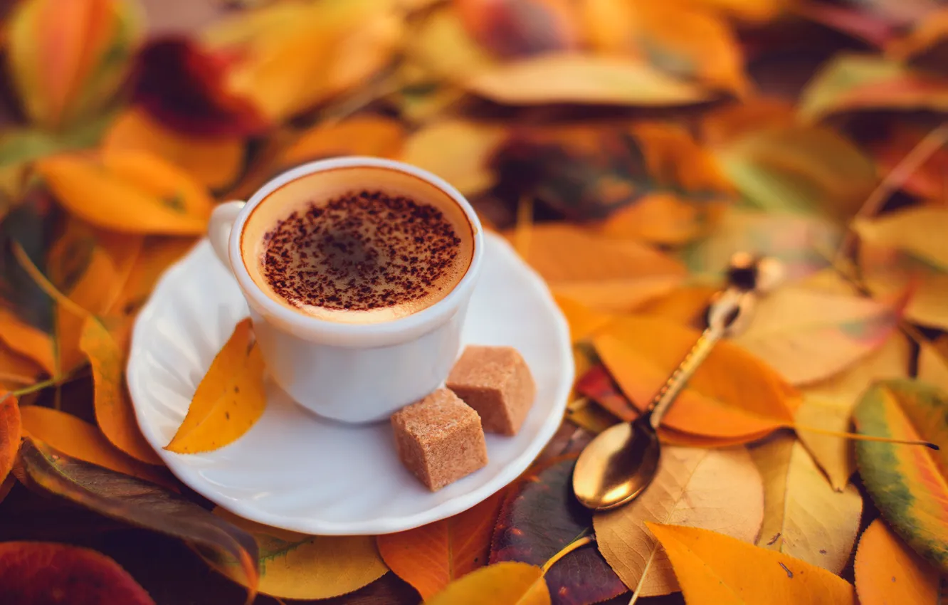 Фото обои осень, пена, листья, кубики, кофе, шоколад, желтые, ложка
