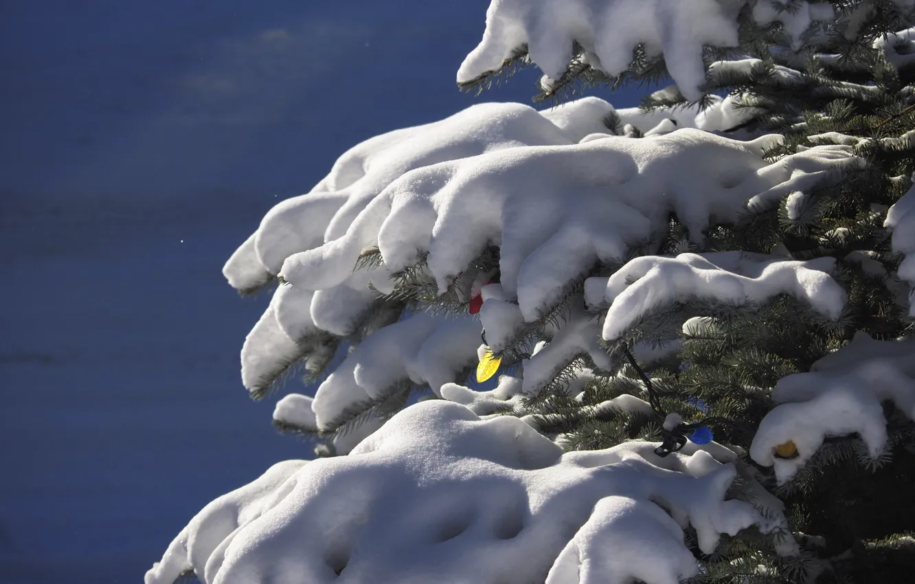 Фото обои снег, елка, новый год, гирлянды