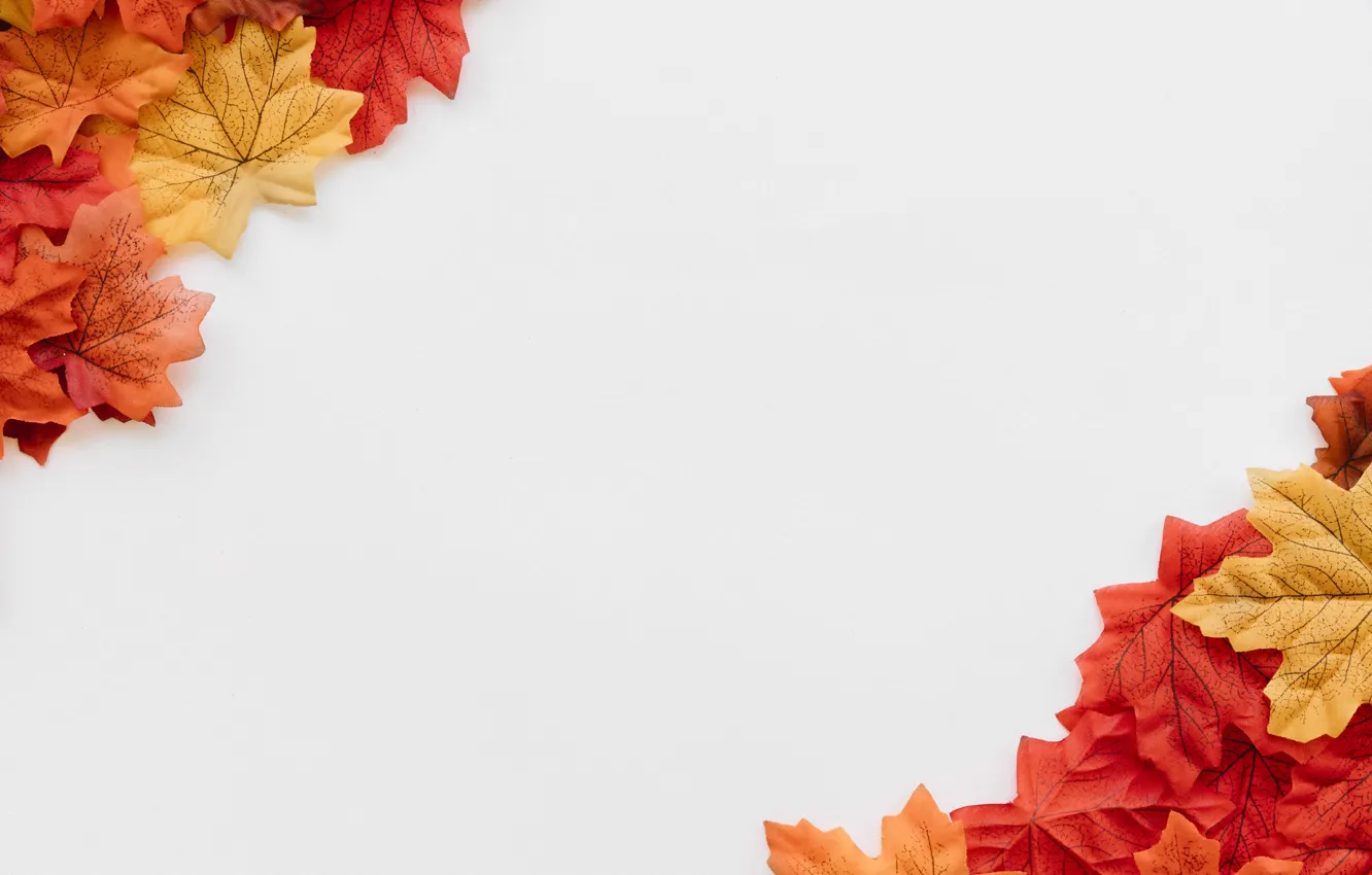 Фото обои осень, листья, фон, colorful, background, autumn, leaves, осенние