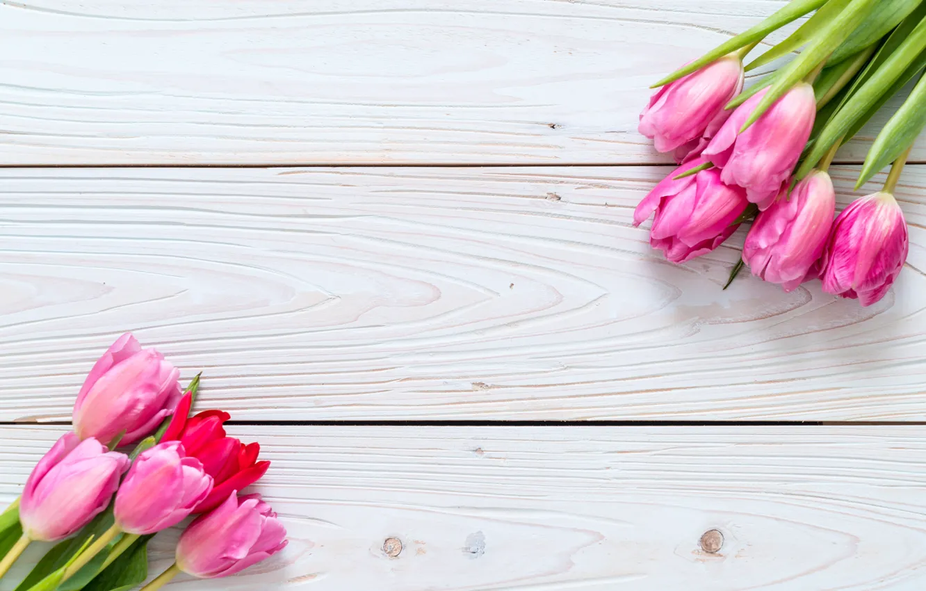 Фото обои цветы, тюльпаны, розовые, fresh, wood, pink, flowers, tulips