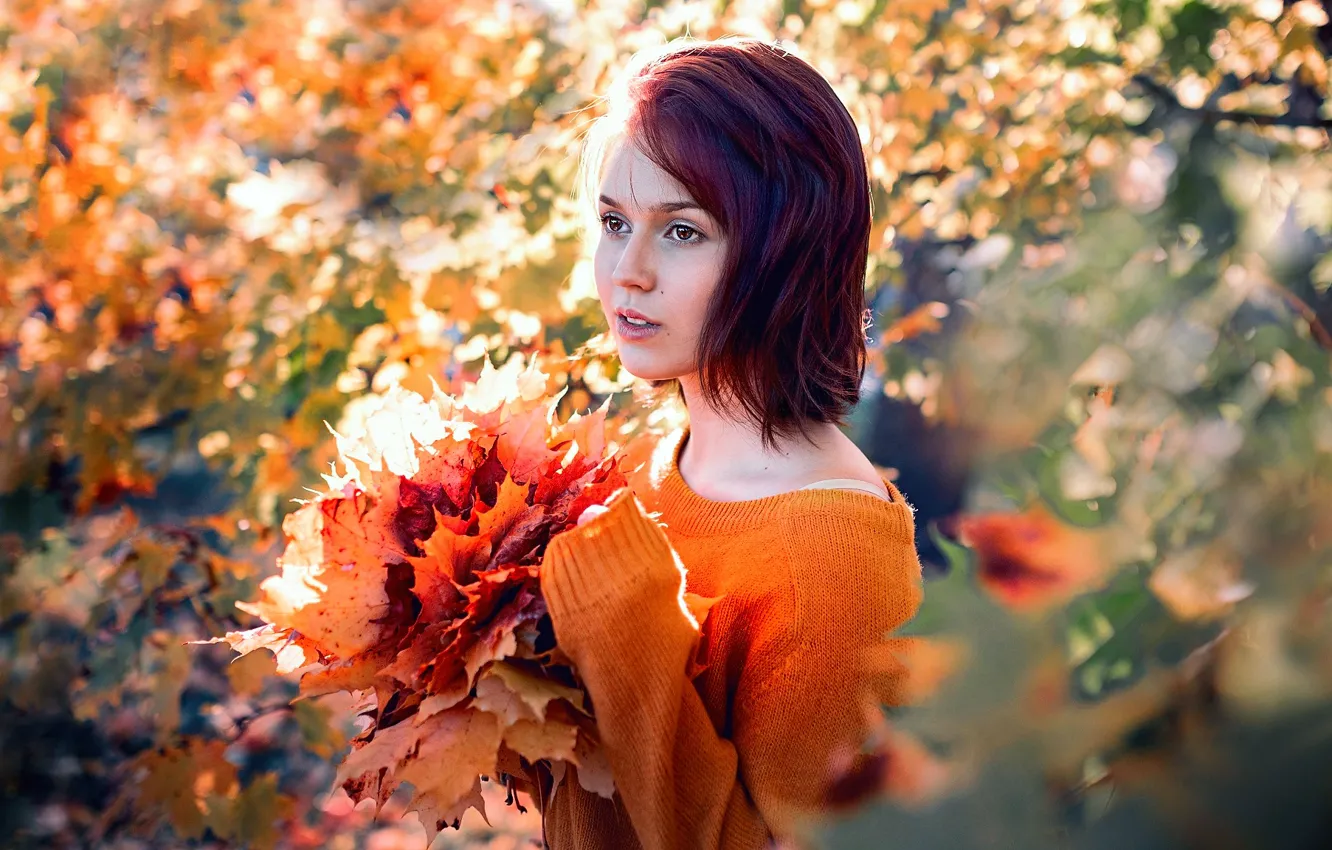 Фото обои осень, девушка, природа, листва