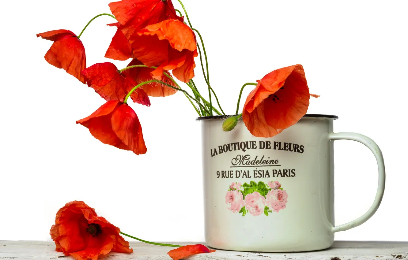 Фото обои цветы, надпись, маки, кружка, Helmut Hess