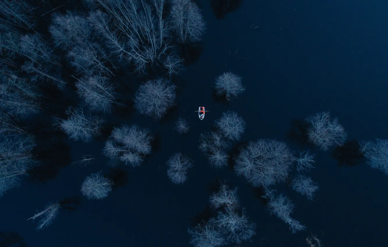 Фото обои деревья, озеро, лодка, сумерки, вид сверху