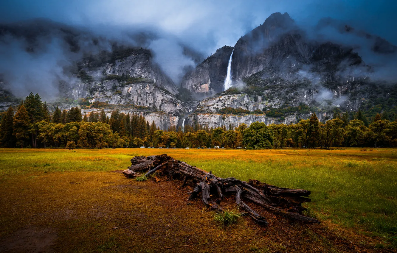 Фото обои лес, горы, долина, Калифорния, коряга, водопады, California, Национальный парк Йосемити