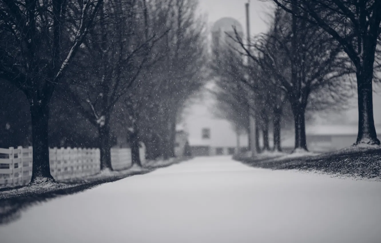 Фото обои зима, дорога, снег, деревья, снежинки, ветки, природа, забор