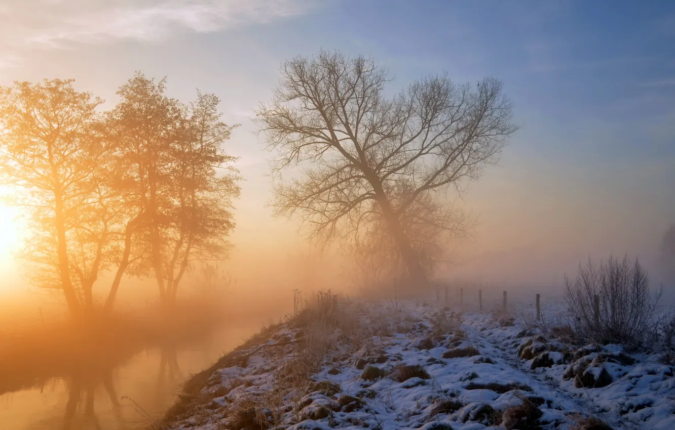 Фото обои пейзаж, туман, река, утро