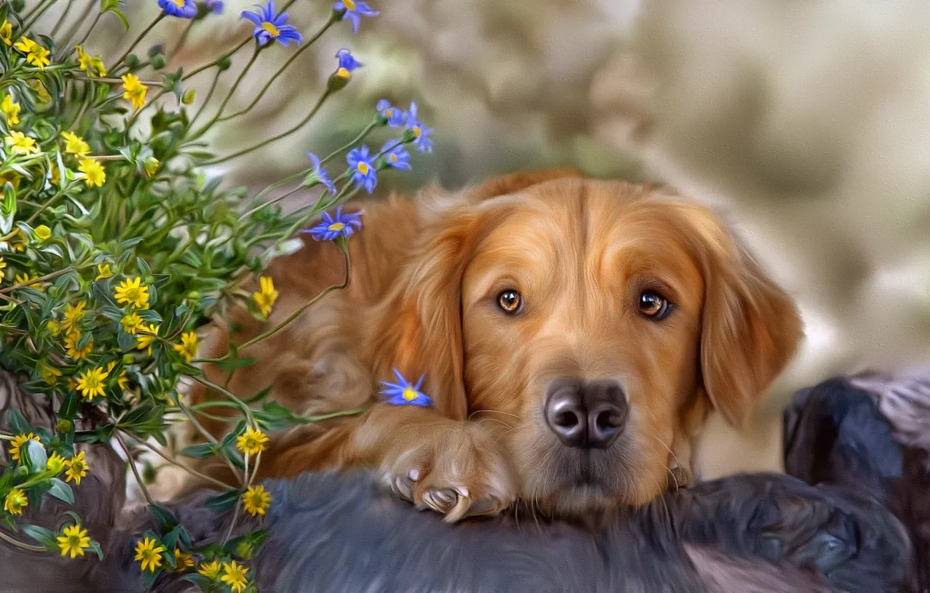 Фото обои цветы, собака, текстура