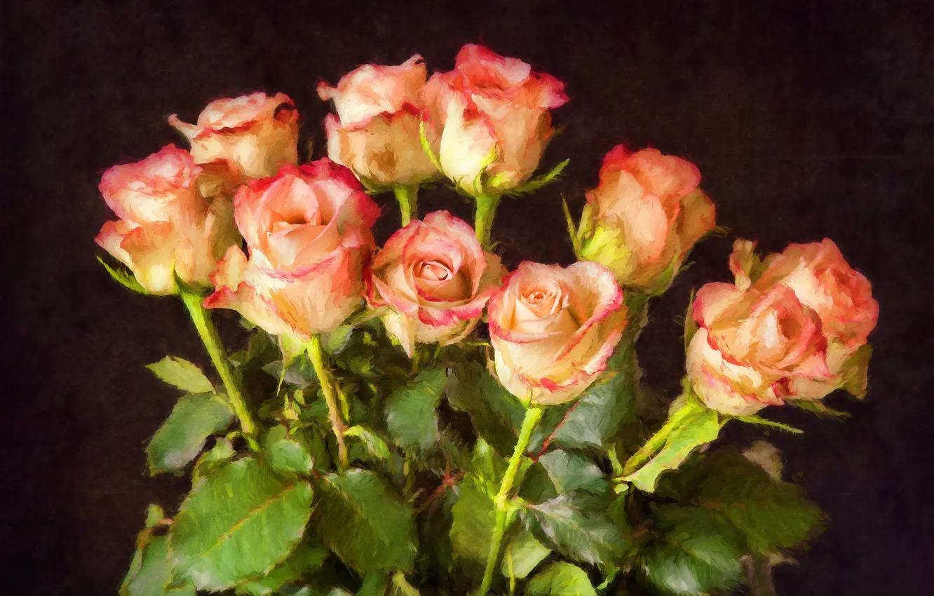 Фото обои темный фон, розы, букет, мазки