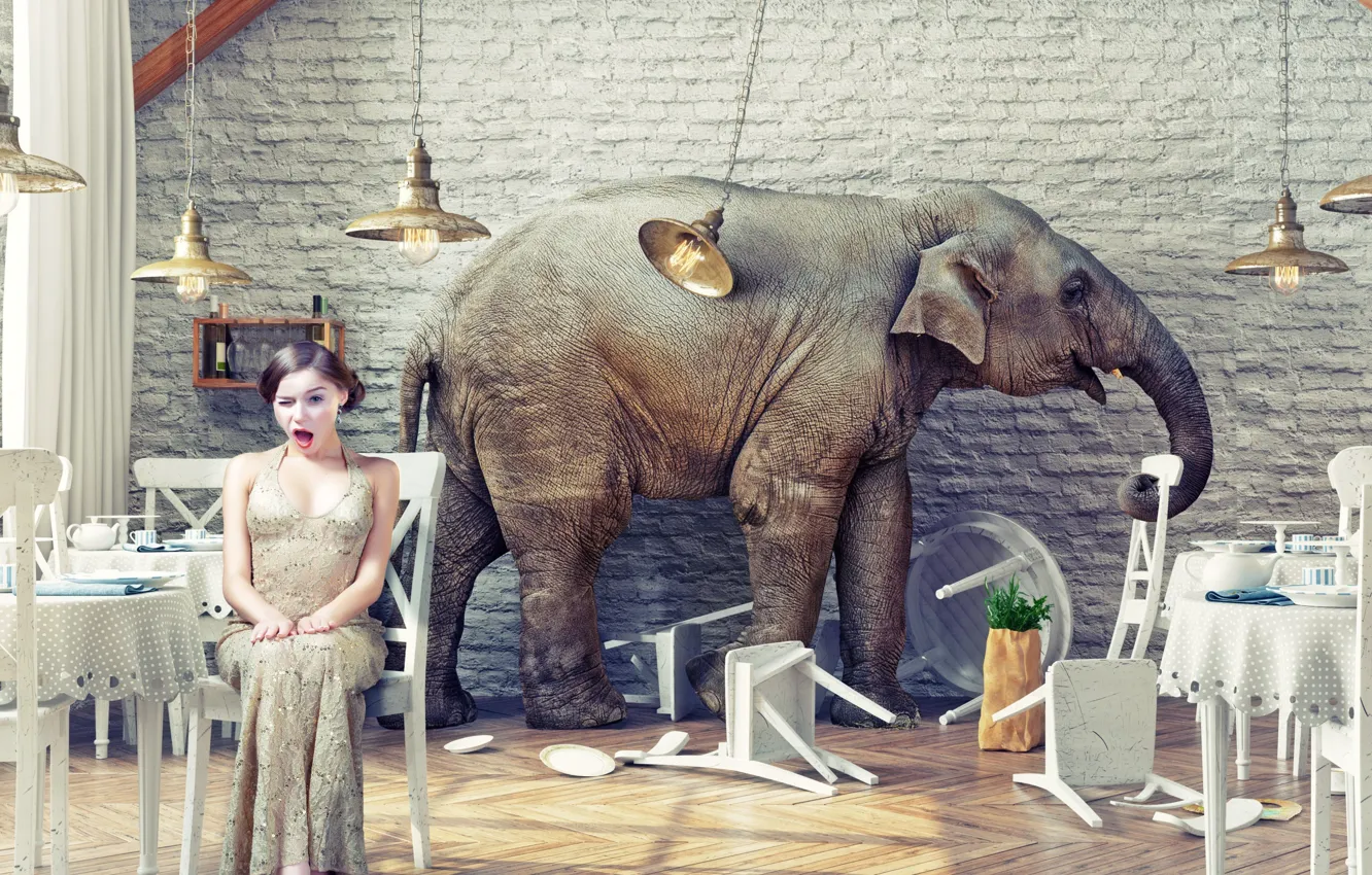 Фото обои Девушка, Ресторан, Слон, Стулья, Столы, Испуг, Elephant in the restaurant, Exotic wildlife