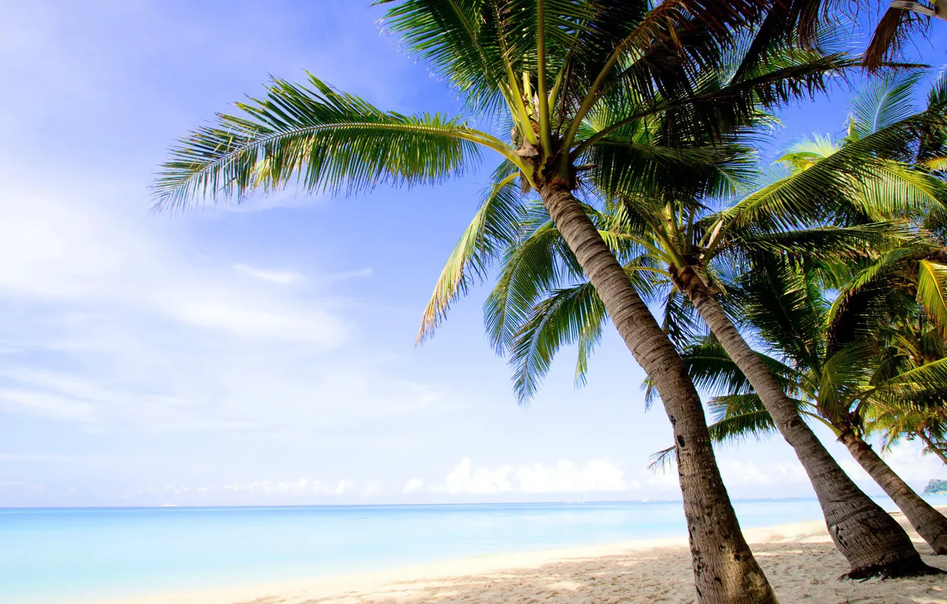 Фото обои песок, пляж, небо, вода, облака, пейзаж, природа, пальмы