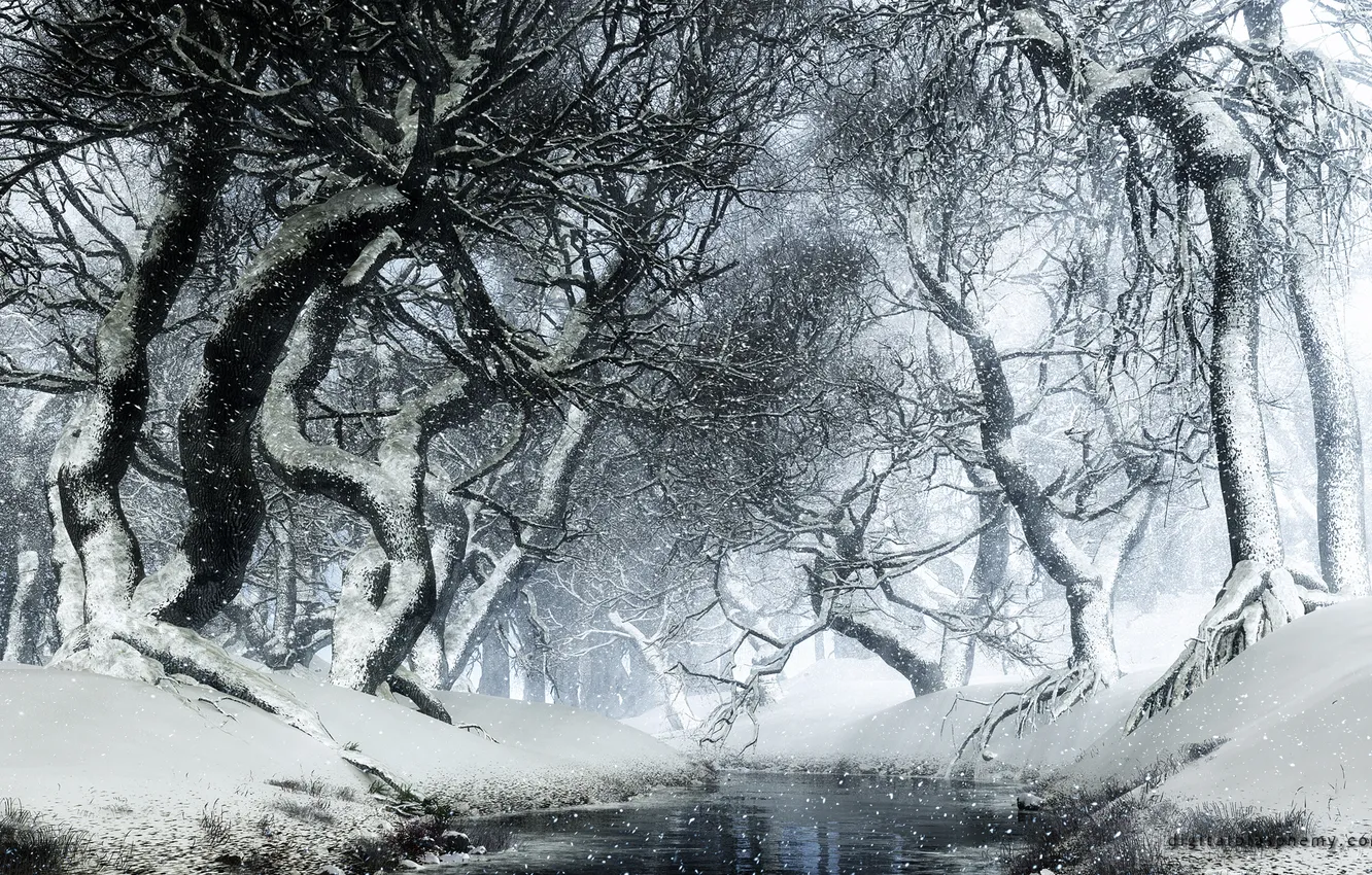 Фото обои зима, белый, снег, деревья, ветки