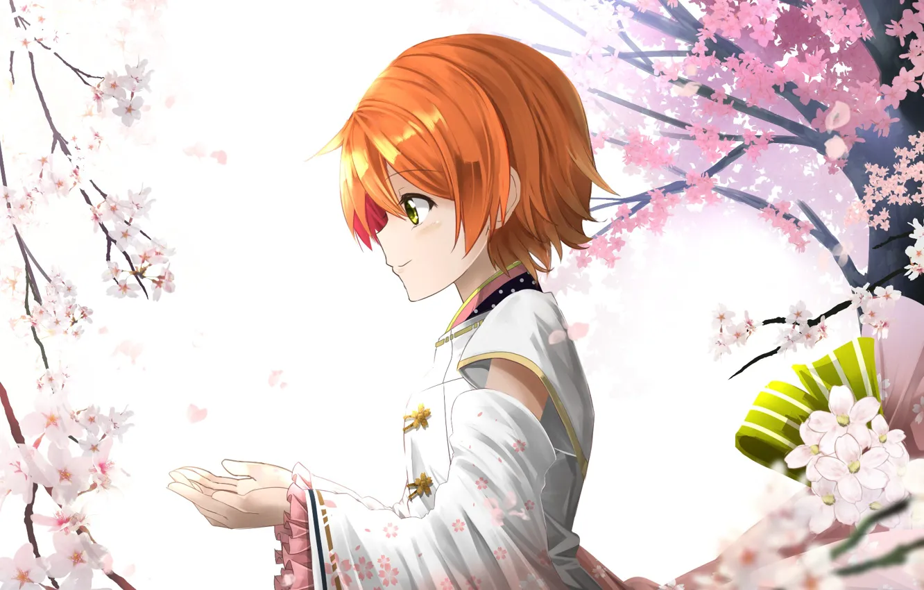 Фото обои девушка, весна, сакура, цветение сакуры