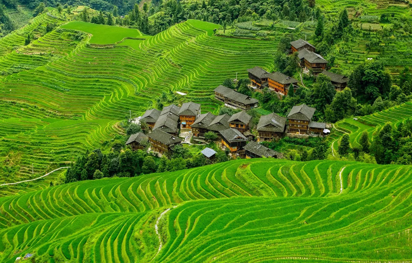 Фото обои горы, дома, склон, деревня, Китай, терраса