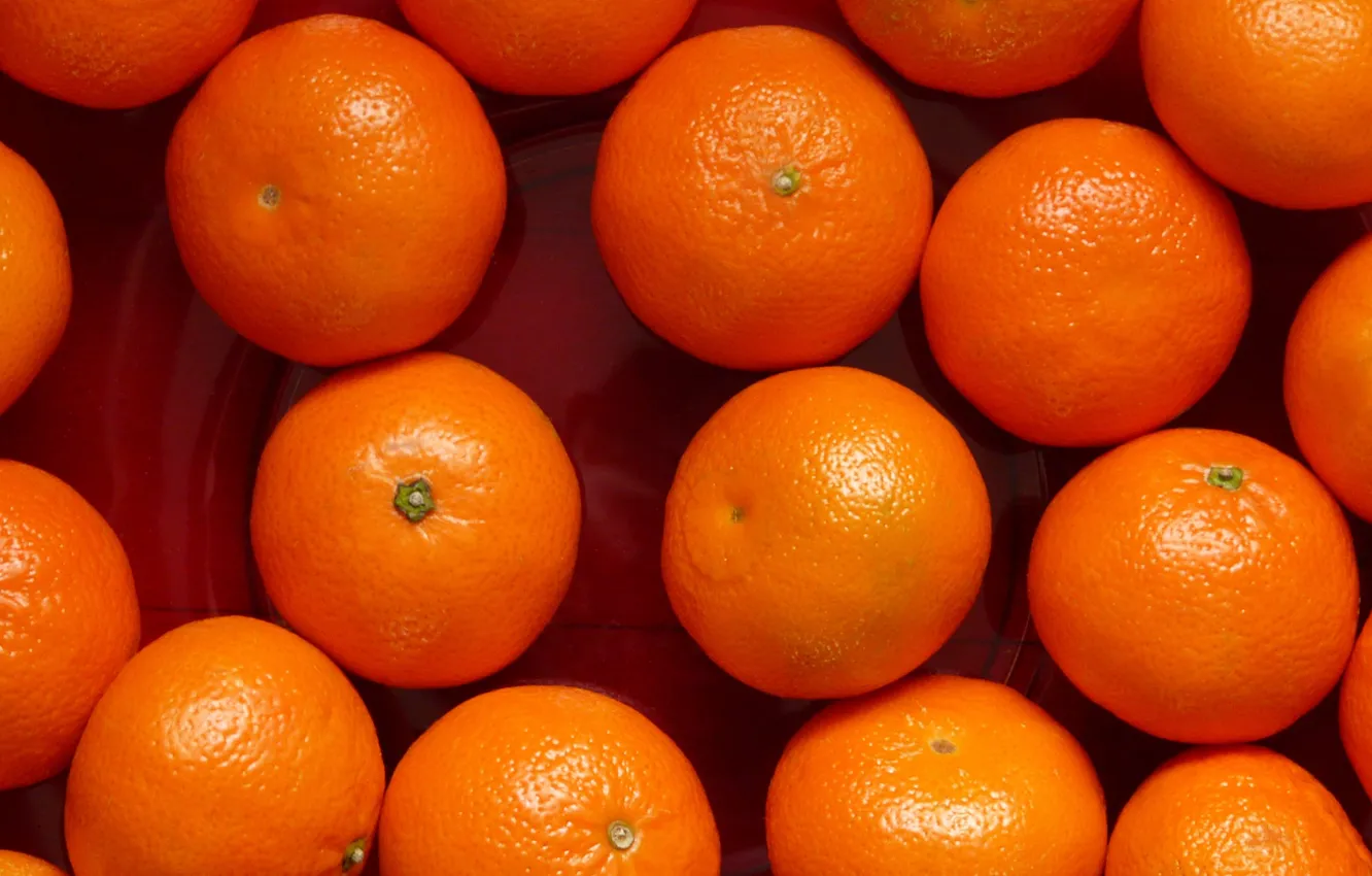 Фото обои фрукты, оранжевые, поднос, мандарины